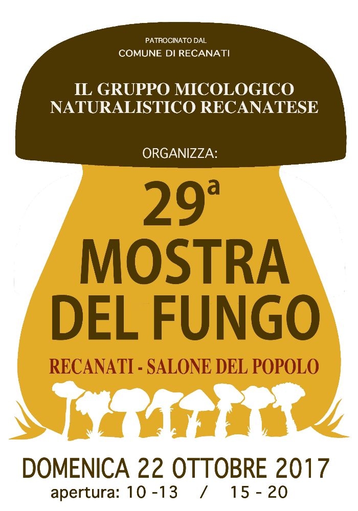 29 Mostra del fungo