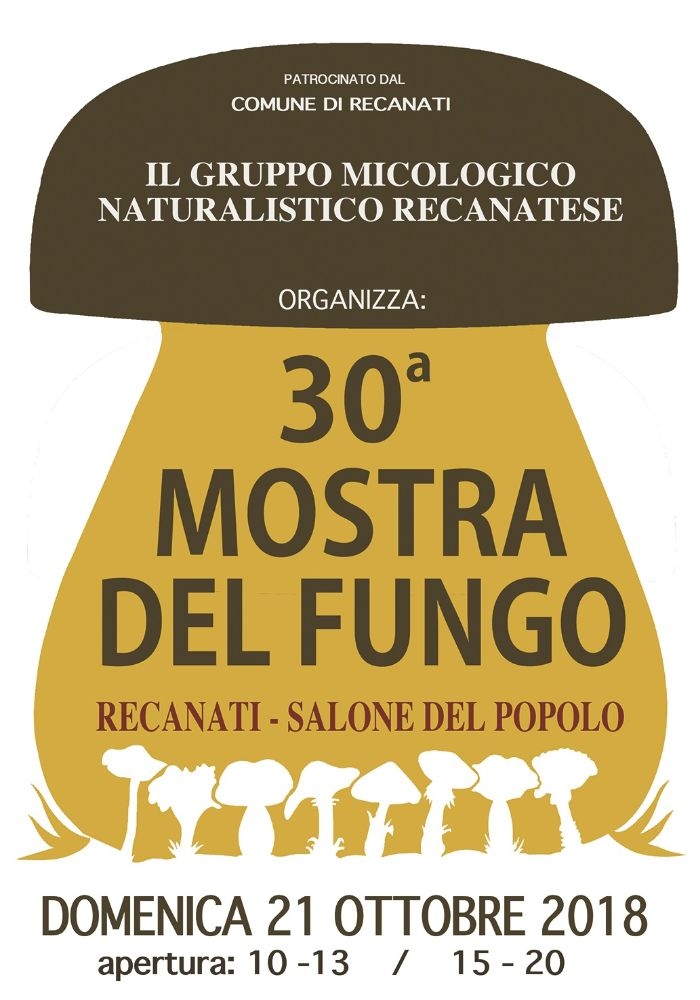 30^ mostra del fungo