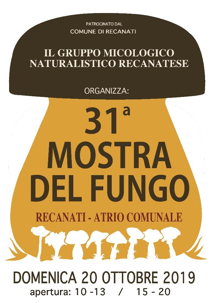 31 Mostra del fungo