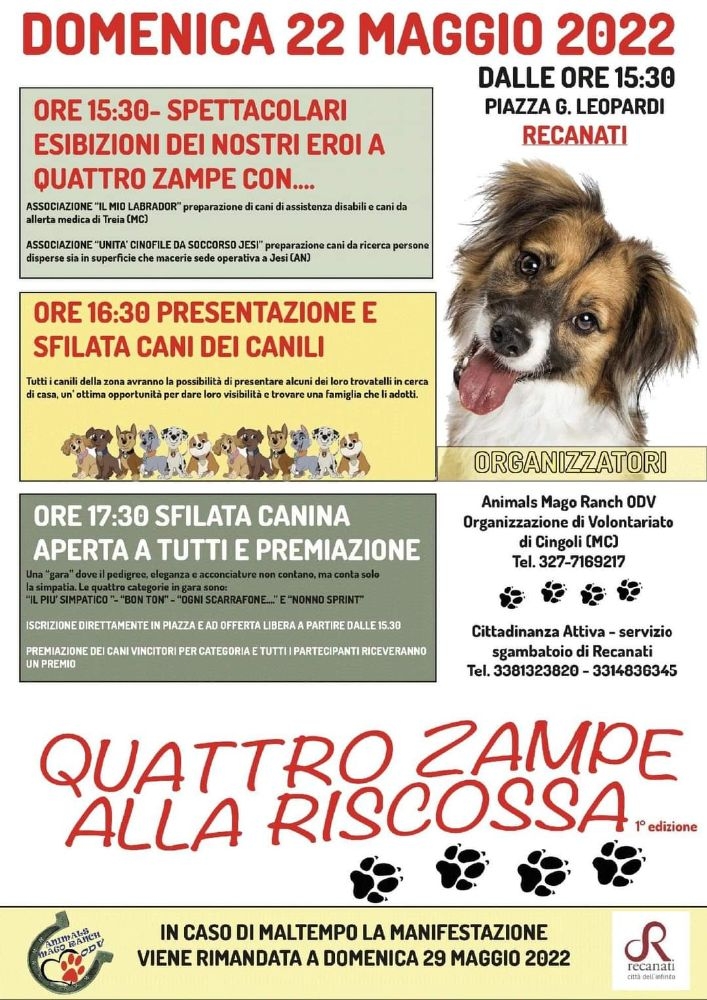 Quattro zampe alla riscossa