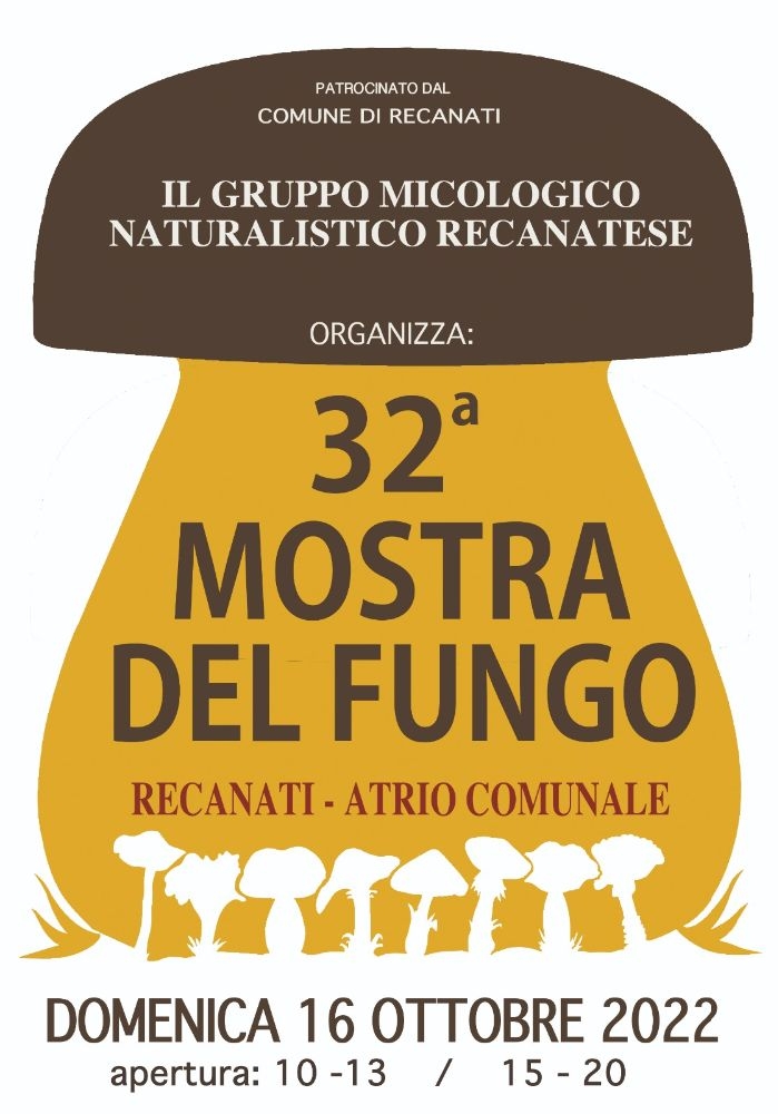 Mostra del fungo