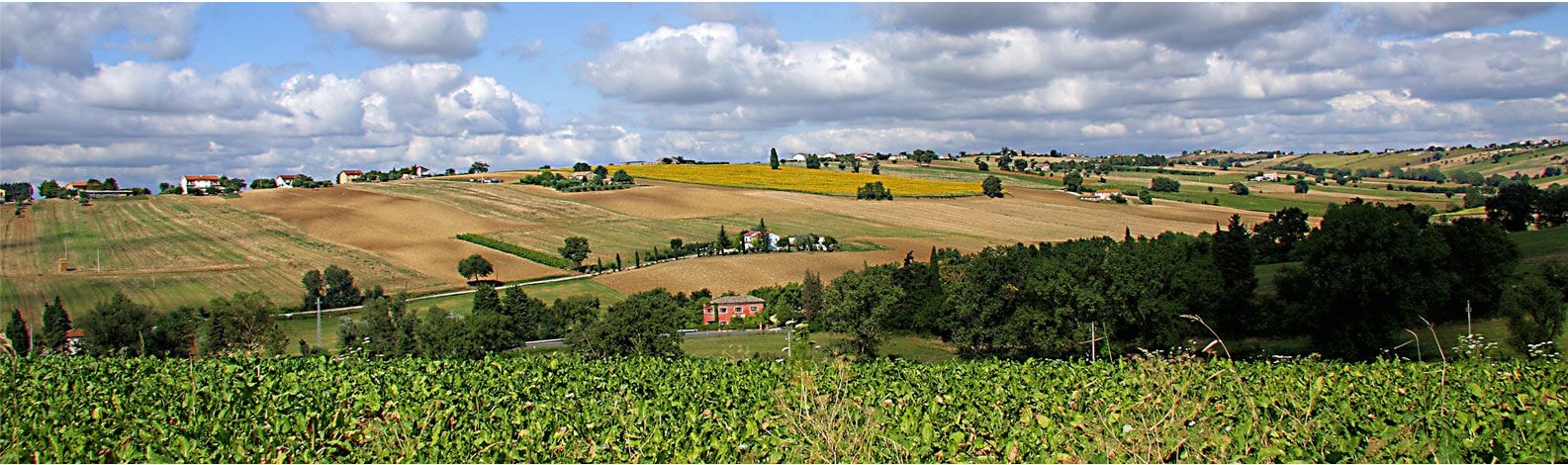 Il verde delle nostre colline