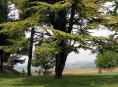 Parco Franchi 1