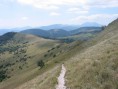 pizzinetto di mutola 2