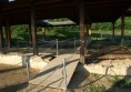 DSC 0035